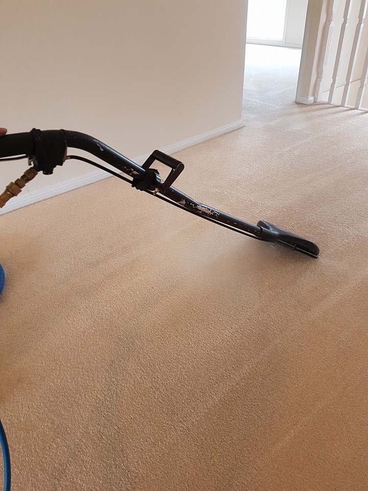 Western Sydney NDIS & End of Lease Cleaning - Carpet Steam Clean | laundry | Servicing all Hills District suburbs, Castle Hill, Bella Vista, Rouse Hill North Rocks, Pennant Hills, Kellyville, The Ponds, Glenwood, Cherrybrook Beaumont Hills, Glenhaven, Dural, Kenthurst Stanhope Gardens, Schofields, 4 Stamford Bridge Avenue, Kellyville NSW 2155, Australia | 0413601039 OR +61 413 601 039