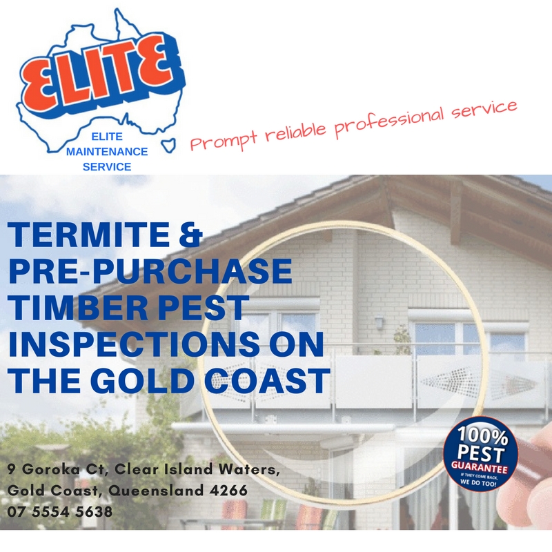 Elite Maintenance Service - Pest Control - Termite Treatment - G | 9 Goroka Ct, Clear Island Waters QLD 4226, Australia | Phone: (07) 5576 4466
