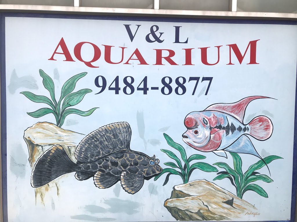 V & L Aquarium | 259 High St, Preston VIC 3072, Australia | Phone: (03) 9484 8877