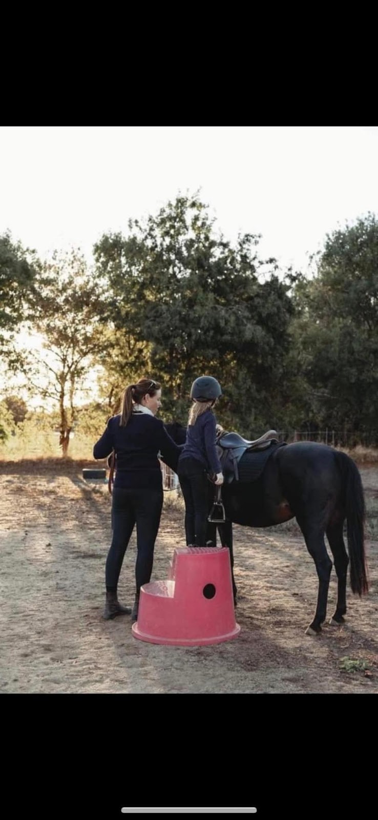 Devine Equine | 713 Graham Rd, Kyabram VIC 3620, Australia | Phone: 0428 939 638
