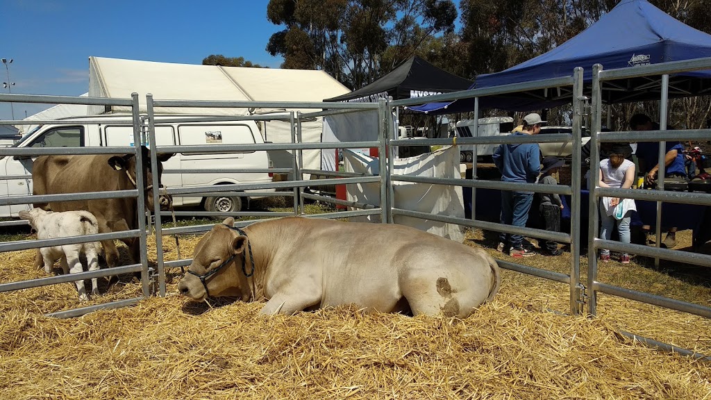 Elmore Equestrian Park | 48 Rosaia Rd, Burnewang VIC 3558, Australia | Phone: (03) 5432 6176