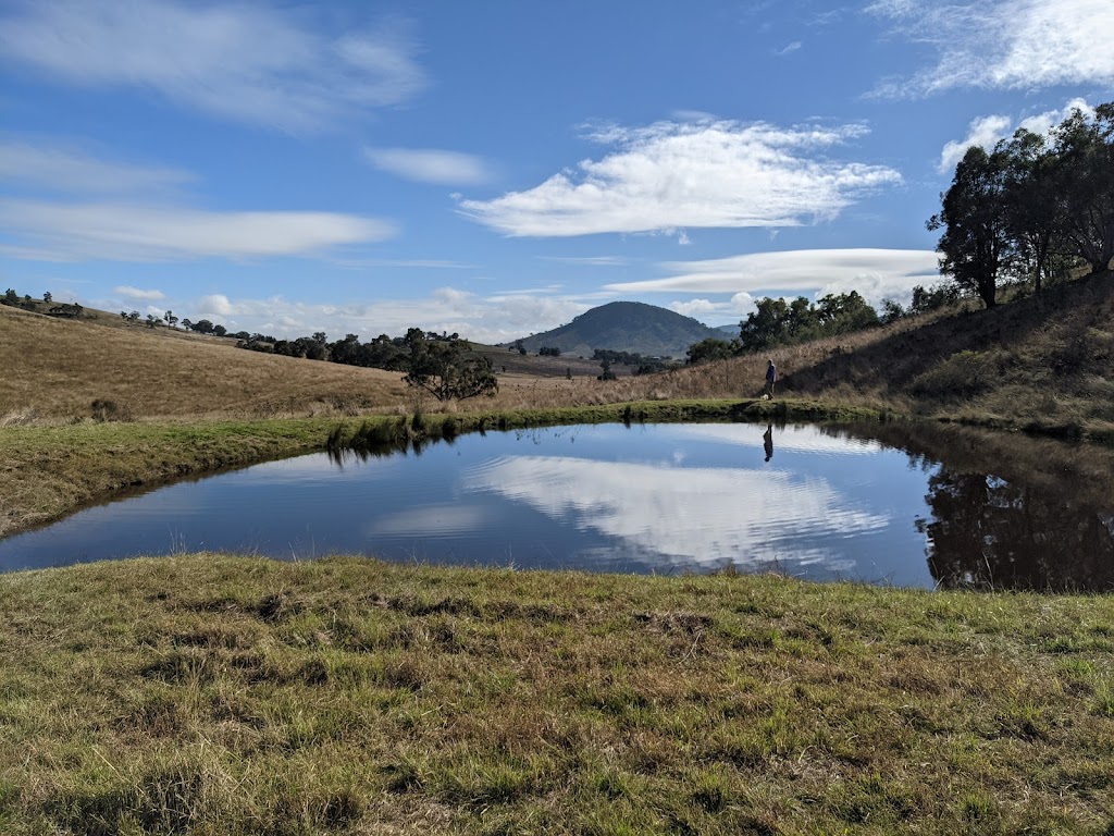 Hillsdale Farm | 748 Castlereagh Hwy, Burrundulla NSW 2850, Australia | Phone: 0478 715 668