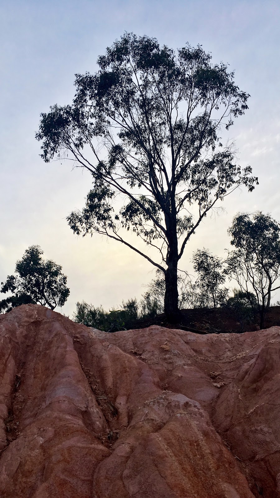 Pink Cliffs Reserve | park | Heathcote VIC 3523, Australia