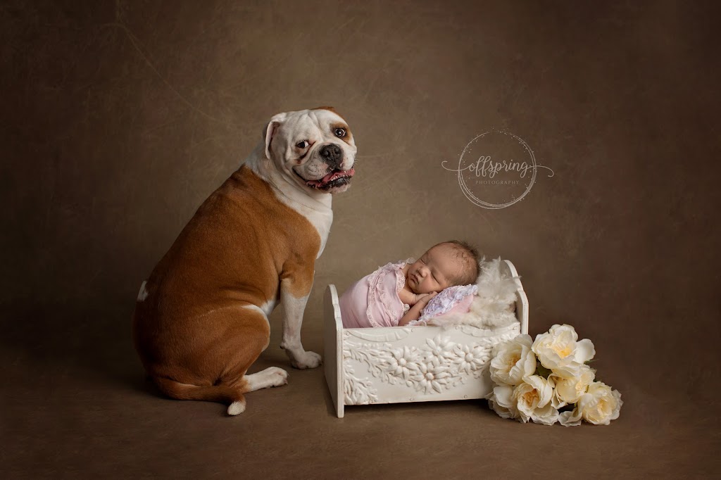 Offspring Photography | 11 Baronga St, Jordan Springs NSW 2747, Australia | Phone: (02) 8377 0876