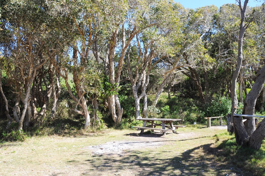 Shelley Beach Camping Spot | campground | Yuraygir NSW 2469, Australia