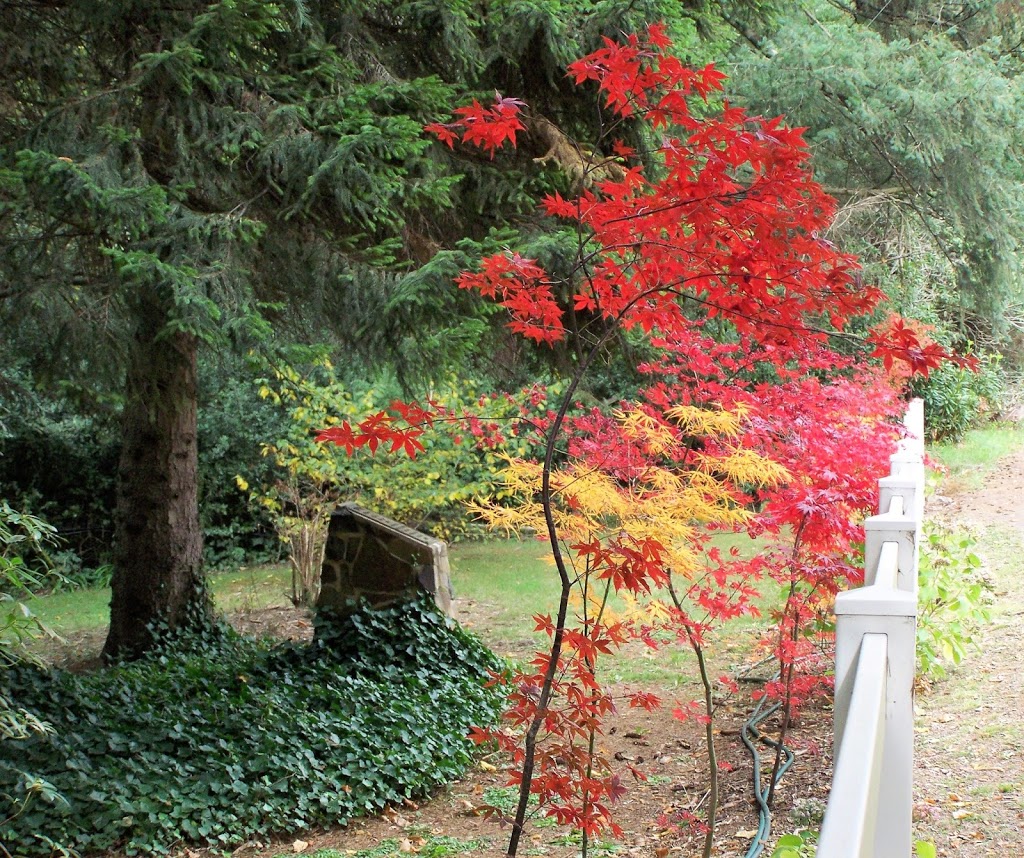 Singing Gardens of CJ Dennis and Tearooms | cafe | 1694 Healesville-Kinglake Rd, Toolangi VIC 3777, Australia | 0359629282 OR +61 3 5962 9282