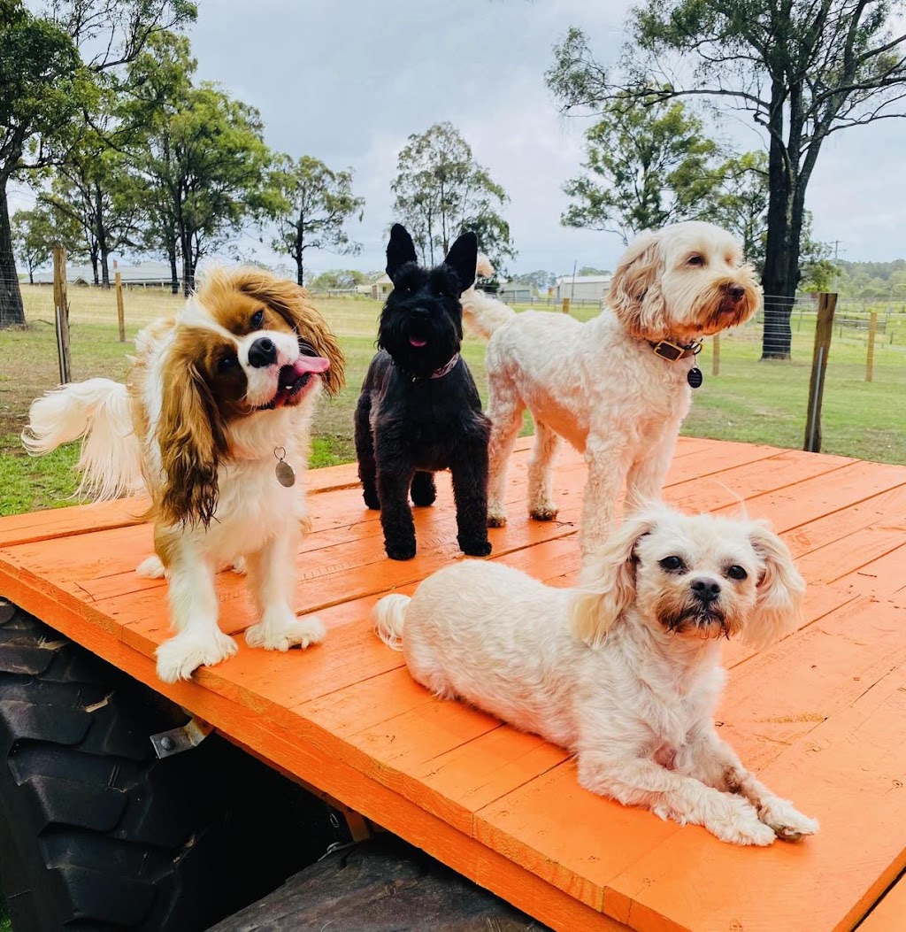 Pamper Paws by Krystal | 467 Mount View Rd, Mount View NSW 2325, Australia | Phone: 0431 227 078