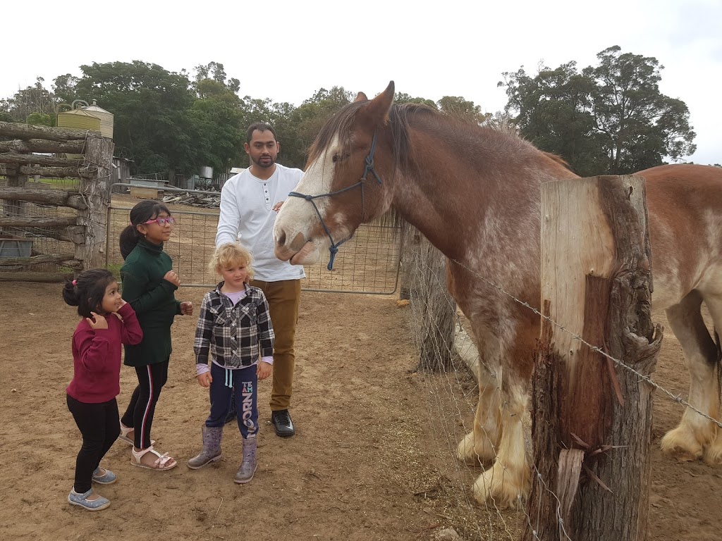 Cambray Cheese & Cottages | store | Vasse Hwy, Cundinup WA 6275, Australia | 0897562037 OR +61 8 9756 2037