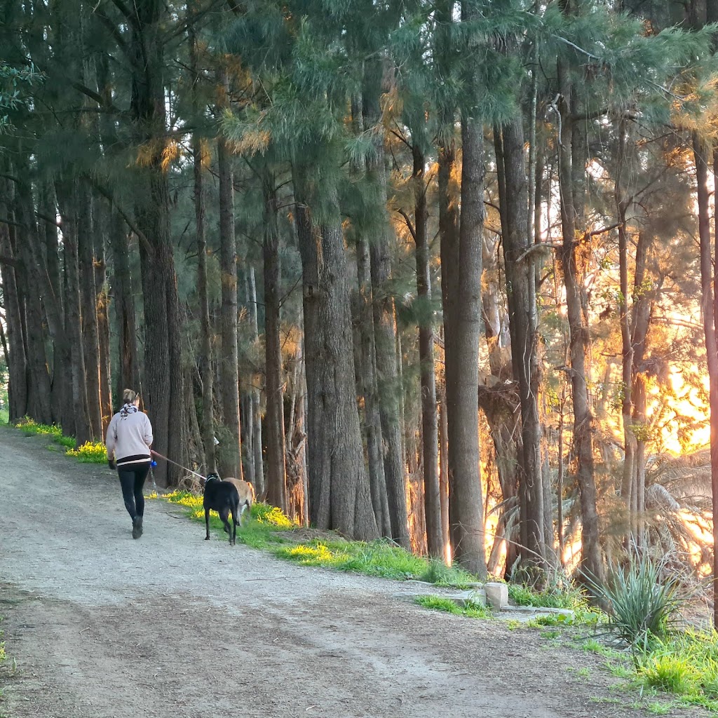 Great River Walk | Bruce Neale Dr, Penrith NSW 2750, Australia | Phone: 1300 736 836