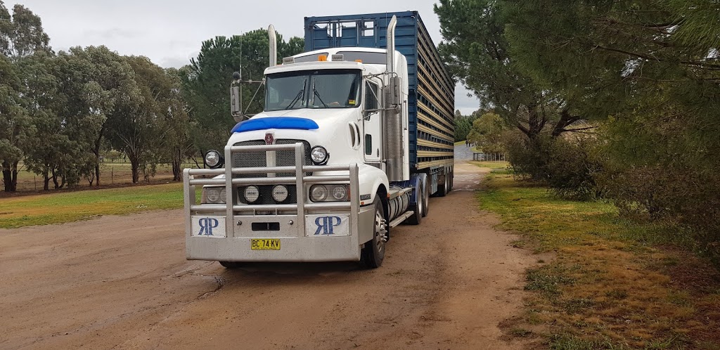 R P&D Peisley Livestock Transport | 40 Doolan Rd, Harden NSW 2587, Australia | Phone: 0428 693 706