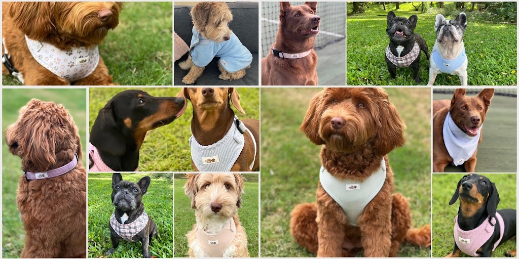 The Puppy Club | 373 Old Mount Samson Rd, Closeburn QLD 4520, Australia | Phone: 0415 287 700
