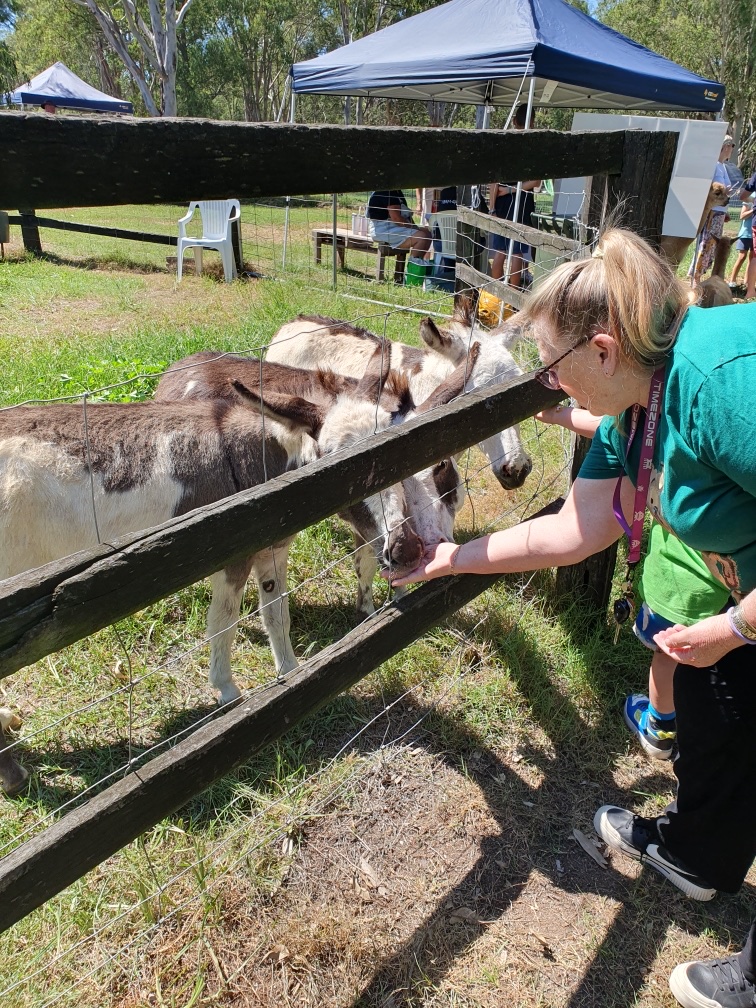 Gumnut Valley Alpacas | 456 Butterwick Rd, Butterwick NSW 2321, Australia | Phone: 0415 855 040