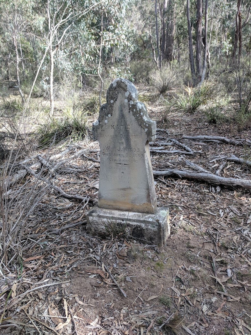 Historic Joadja Cemetery | cemetery | 1672 Joadja Rd, Joadja NSW 2575, Australia