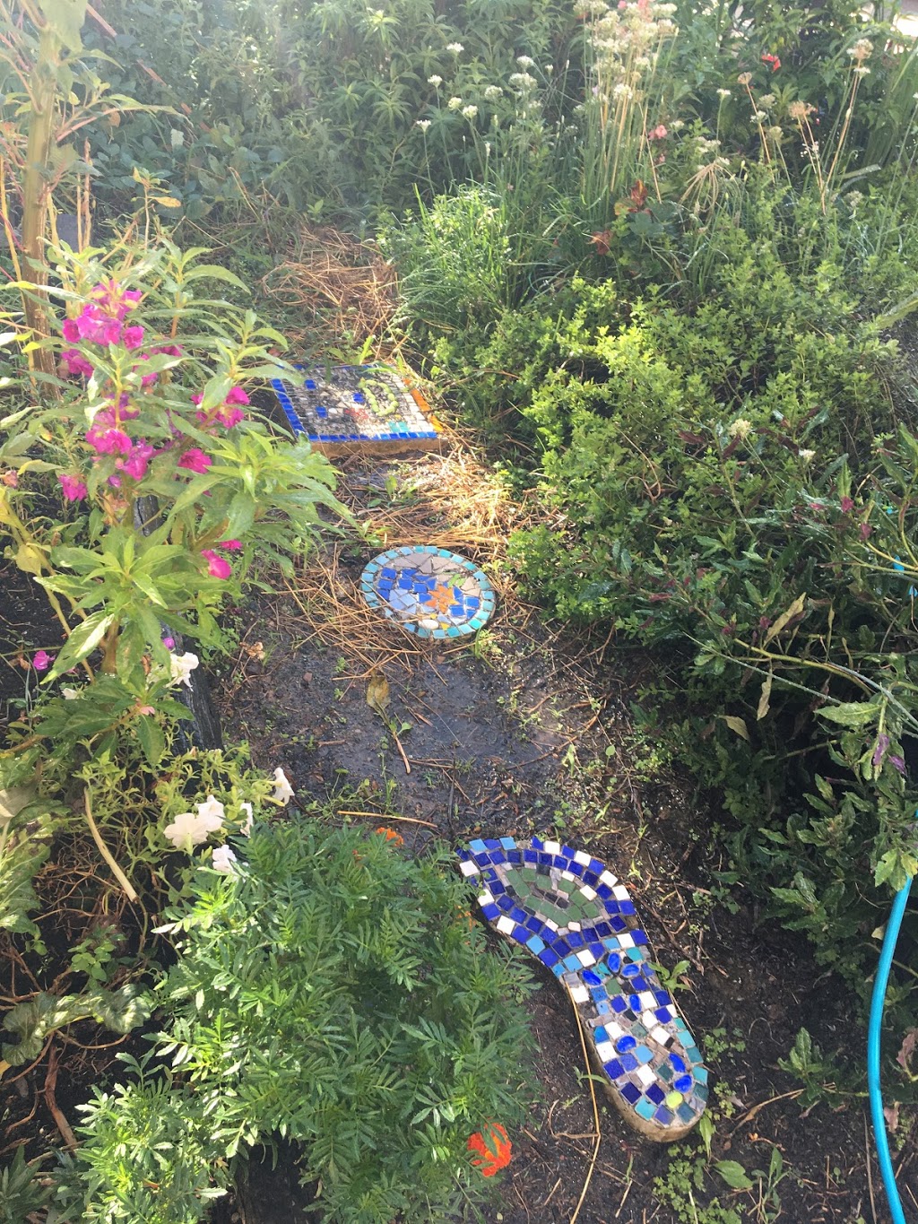 Lalor Park Community Garden | Parkside Dr, Lalor Park NSW 2147, Australia