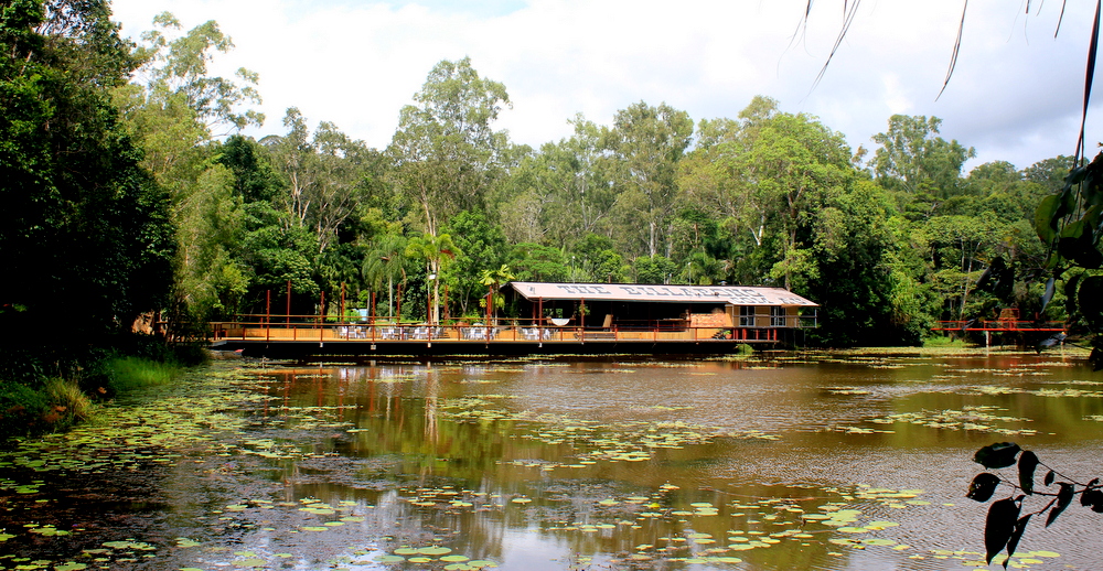 The Billabong, Kuranda | 186 Mount Haren Rd, Kuranda QLD 4881, Australia | Phone: (07) 4093 7684