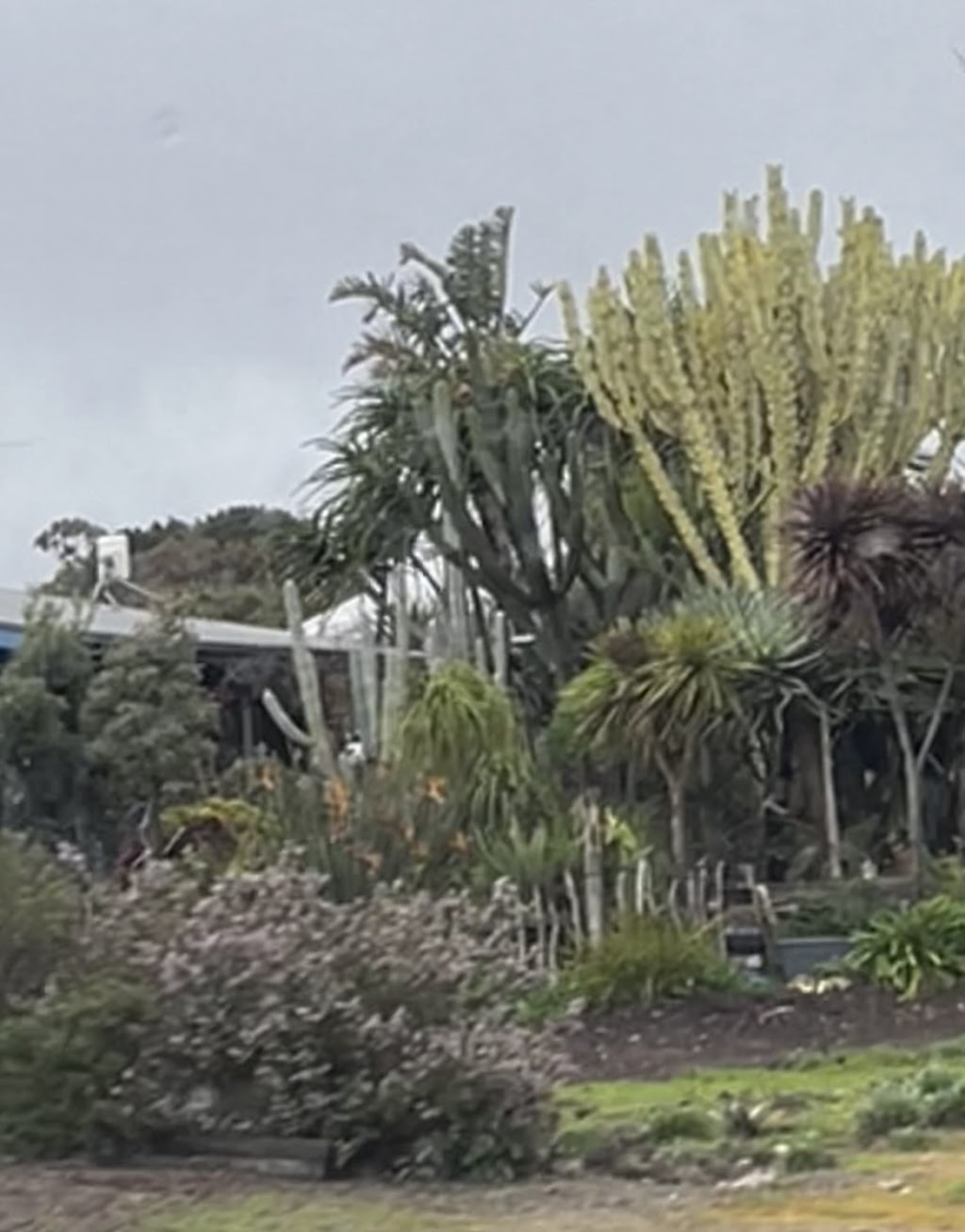 Boofus Photography | 54 Bayview Rd, Clayton Bay SA 5256, Australia | Phone: 0431 252 331