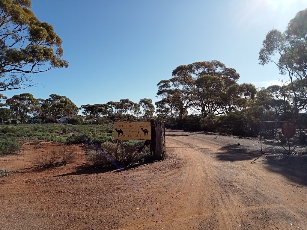Coolgardie Camel Farm | 24RG+WP, Coolgardie WA 6429, Australia | Phone: (08) 9026 6159