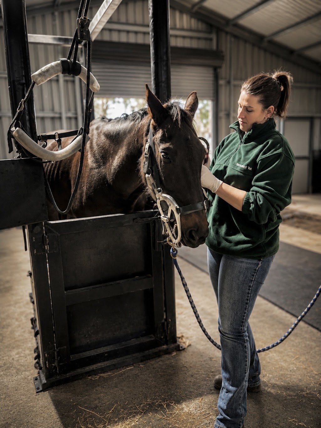 Forefront Equine Veterinary Services | 160 Gascards Ln, Gordon VIC 3345, Australia | Phone: 0452 474 242