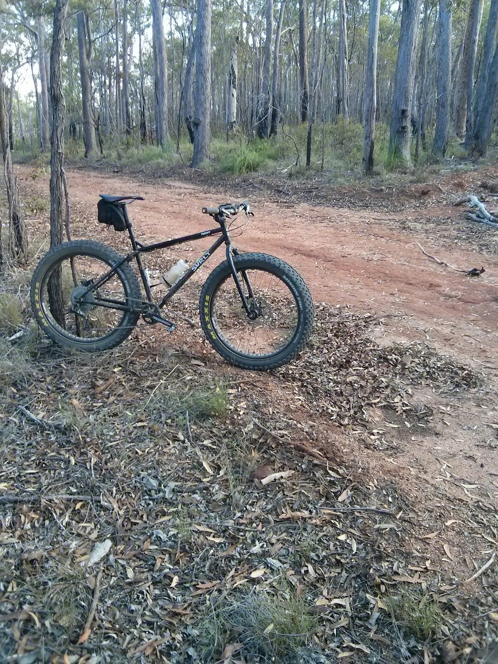 Cordalba National Park | Duingal QLD 4671, Australia