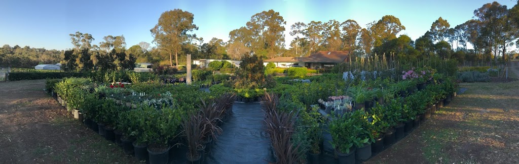 Wandarri Nursery | 14 Wandarri Rd, Kenthurst NSW 2156, Australia | Phone: (02) 9654 9596