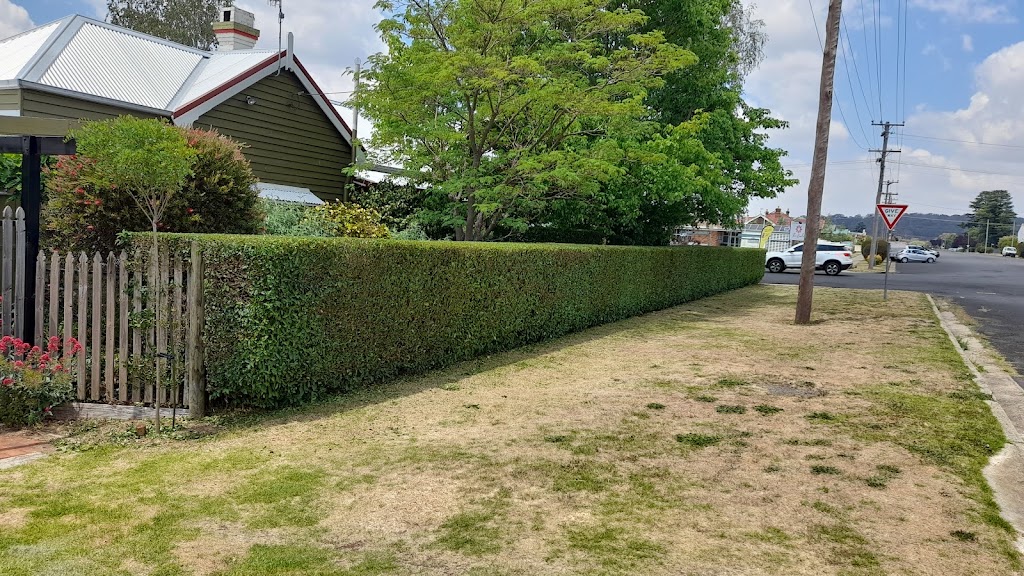 Ketina Park Gardens and Landscapes | 137 Taylor St, Glen Innes NSW 2370, Australia | Phone: 0408 700 444