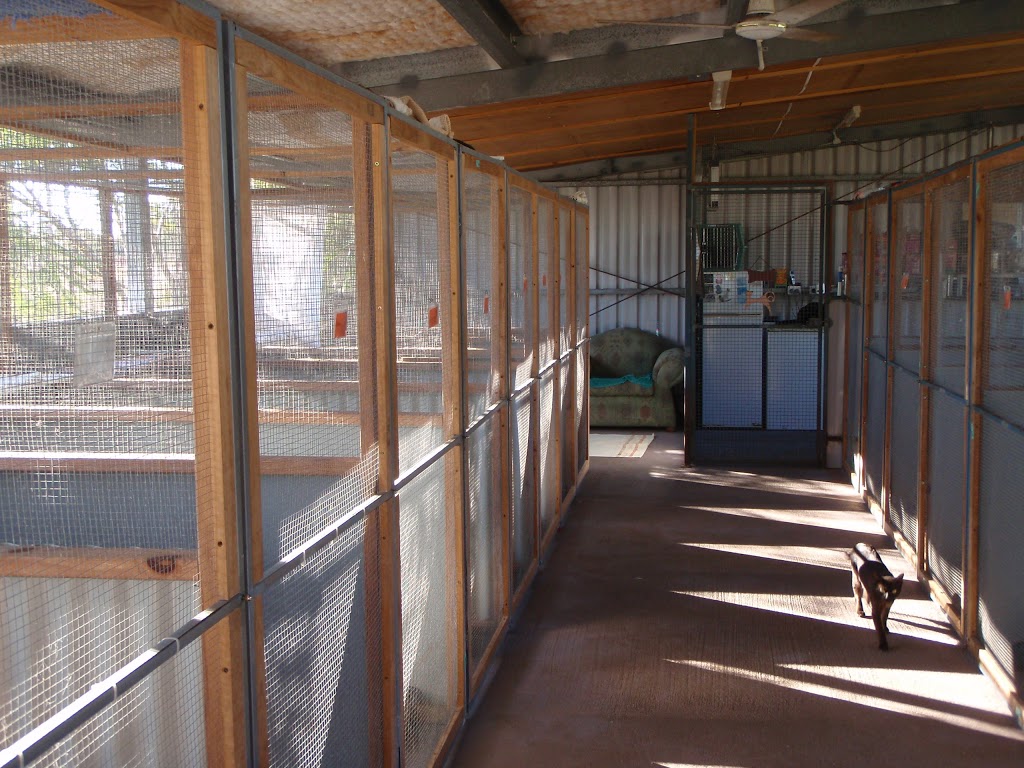 Hollys Hideaway Cattery | veterinary care | 80 Vass Rd, Etna Creek QLD 4702, Australia | 0749342460 OR +61 7 4934 2460