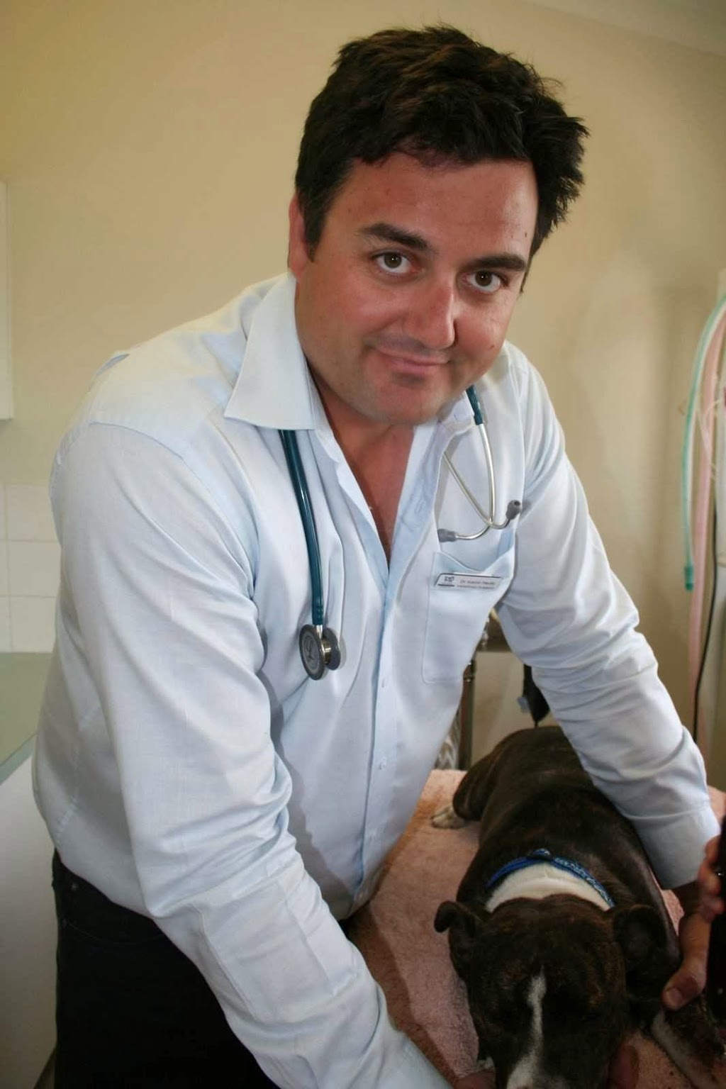 Palmyra Veterinary Hospital | veterinary care | 2 Hammad St, Palmyra WA 6157, Australia | 0893198211 OR +61 8 9319 8211