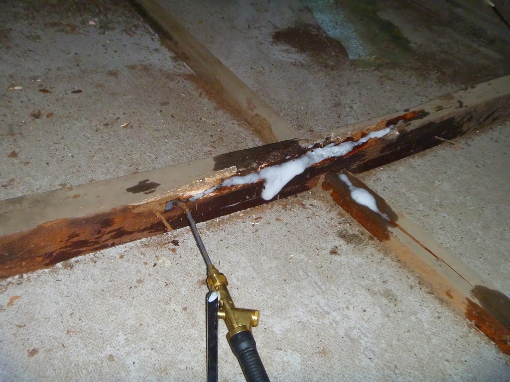Termites Gone | 16 Woodland Ct, Townsville QLD 4818, Australia | Phone: 0411 053 966