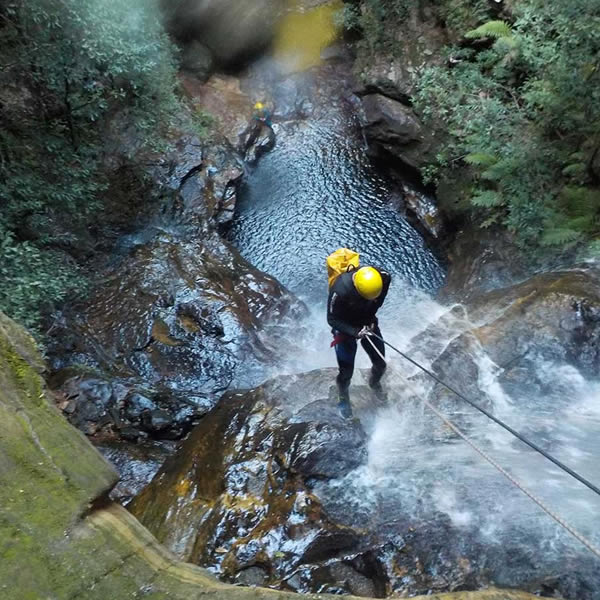 High and Wild | 207 Katoomba St, Katoomba NSW 2780, Australia | Phone: (02) 4782 6224