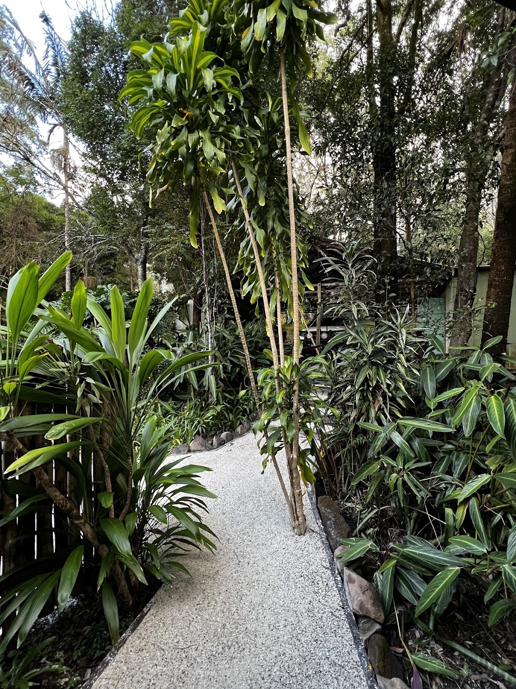 Whistling Hill | 1/10 Robb Rd, Lillian Rock NSW 2480, Australia | Phone: 0419 437 044