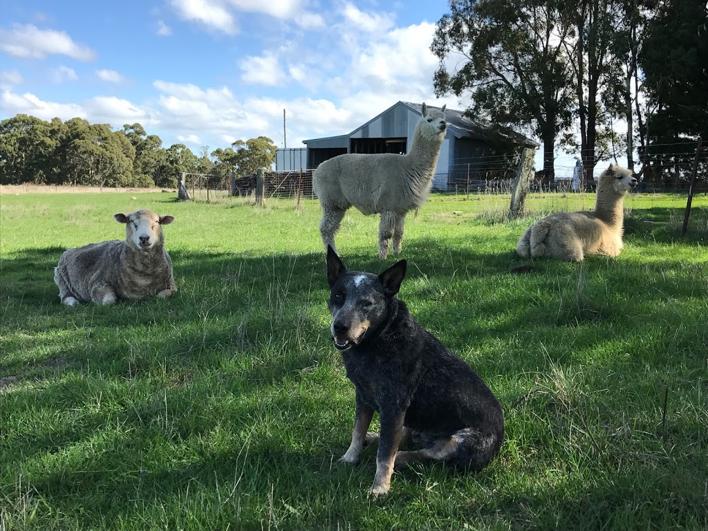 Avaleigh Elms Farmstay Oberon | lodging | 2795 Abercrombie Rd, Black Springs NSW 2787, Australia | 0263358226 OR +61 2 6335 8226