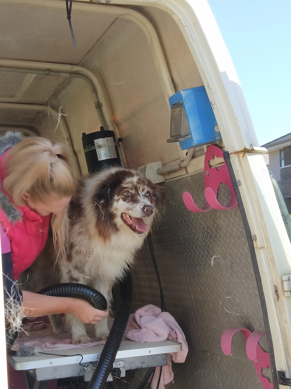 Poochie Paws Mobile Dog Wash | 8 Emily Cres, Point Cook VIC 3030, Australia | Phone: 0409 273 451