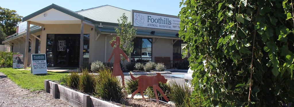 Foothills Animal Hospital | veterinary care | 23 Thomas St, Armadale WA 6112, Australia | 0894977488 OR +61 8 9497 7488