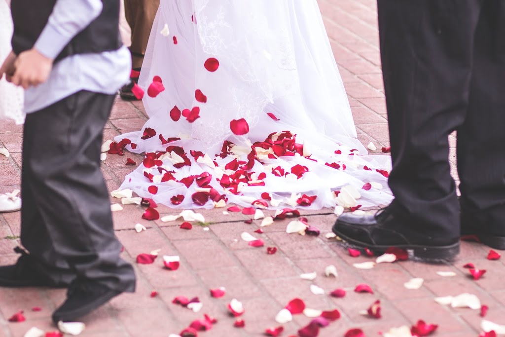 Weddings by Clay - Wedding Celebrant |  | 8 Dealbata Pl, Croydon Hills VIC 3136, Australia | 0390137050 OR +61 3 9013 7050