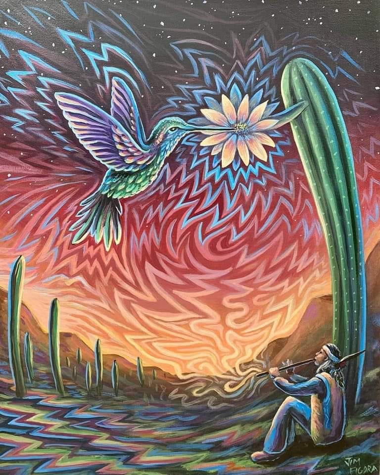 Spiky Sensations | 835 Montpelier Dr, The Oaks NSW 2570, Australia | Phone: 0431 840 485