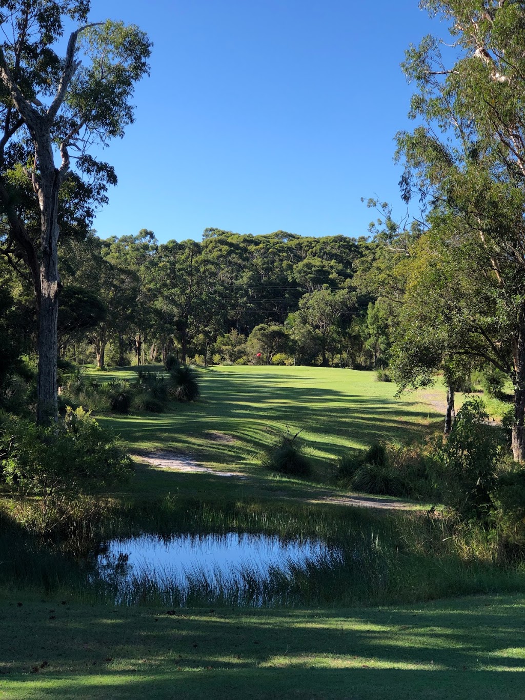 Noosa Hills Par 3 Golf Course | 25 Goldburg Ct, Noosaville QLD 4567, Australia | Phone: (07) 5449 1666