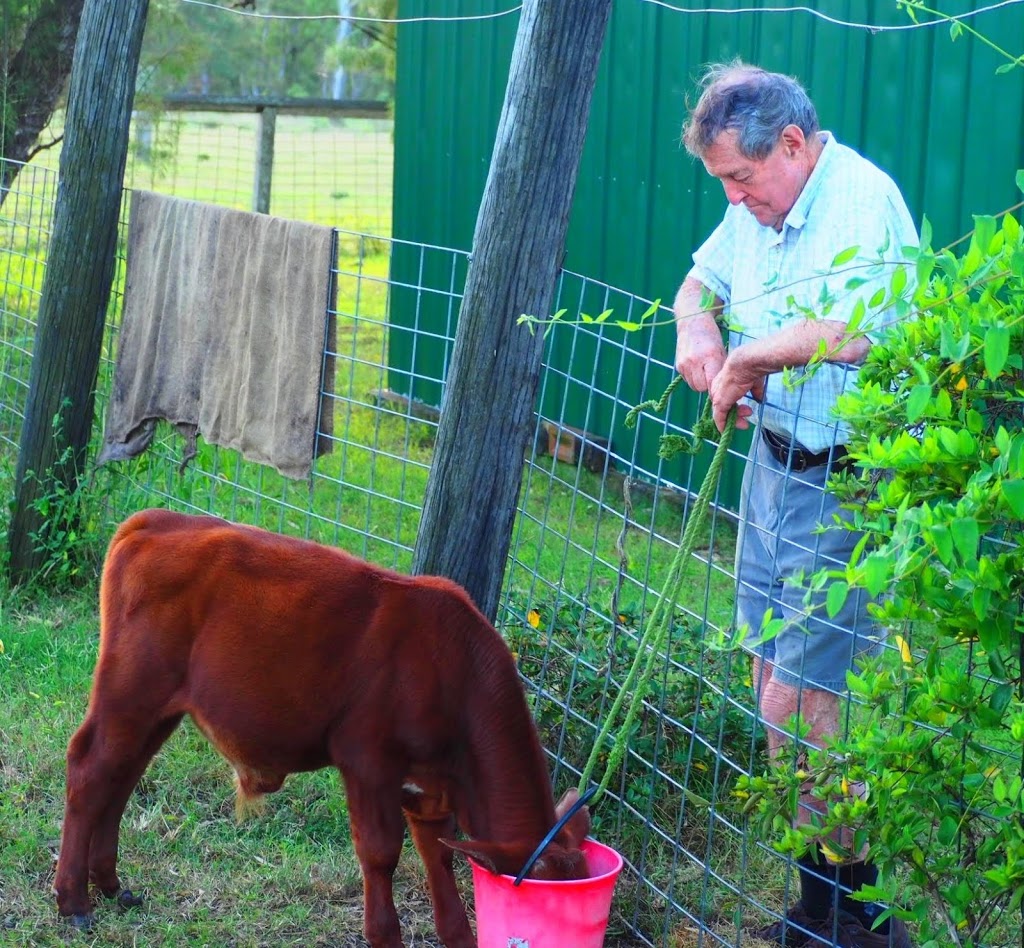 Minmore Farmstay | lodging | Wattle Grove QLD 4610, Australia