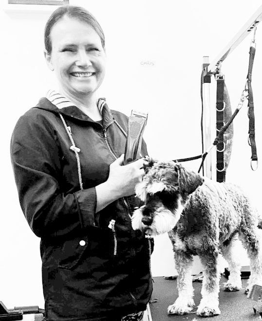 Fab Fur Dog Grooming | Candy Creek Rd, Guanaba QLD 4210, Australia | Phone: 0420 859 751