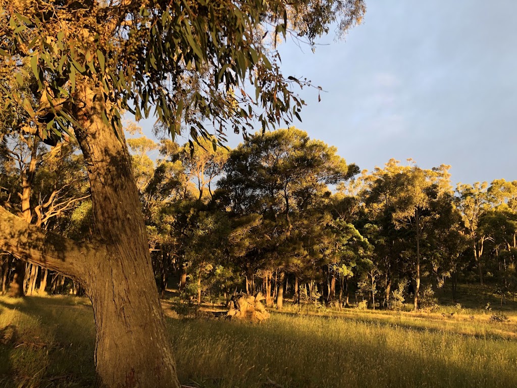 Australian Buddhist Youth Network | 175/221 Marias Ln, Beaufort VIC 3373, Australia | Phone: 0404 661 947