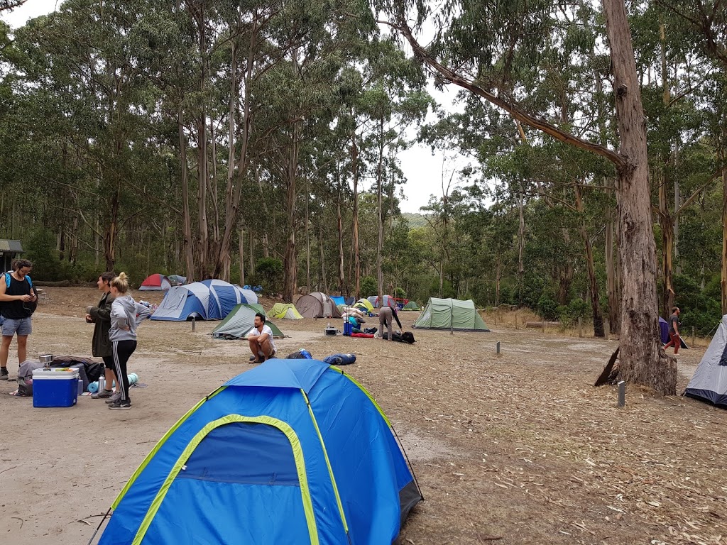 Allenvale Mill Bush Campground - Lorne VIC 3232, Australia