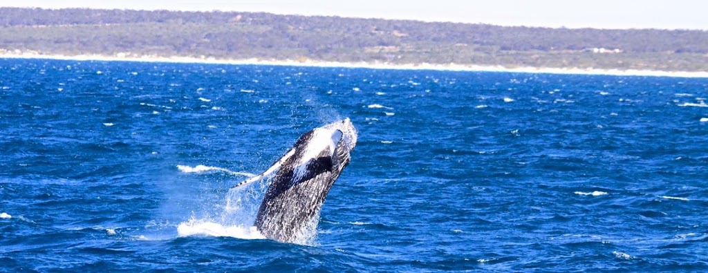 Fowlers Bay Caravan Park | 15 West Terrace, Fowlers Bay SA 5690, Australia | Phone: 0436 844 880