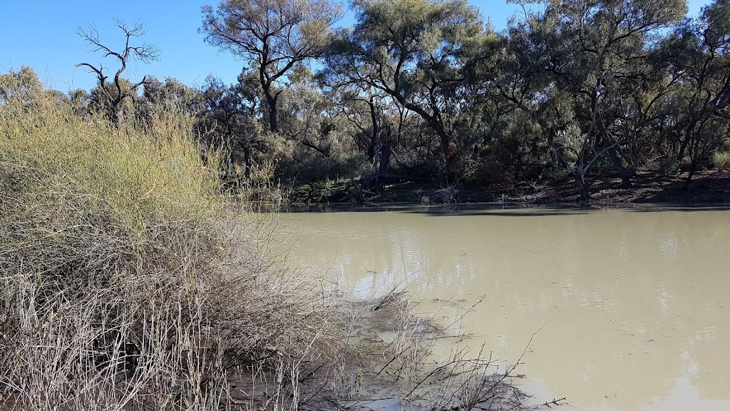 Willandra campground | Willandra National Park Road, Roto NSW 2675, Australia | Phone: (02) 6966 8100