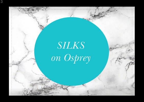 SILKS on Osprey | hair care | 28 Osprey Circuit, Medowie NSW 2318, Australia | 0422908760 OR +61 422 908 760