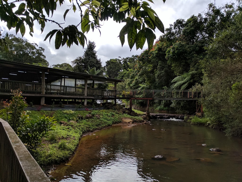 Mungalli Falls | tourist attraction | 280 Junction Rd, Millaa Millaa QLD 4886, Australia | 0740972358 OR +61 7 4097 2358