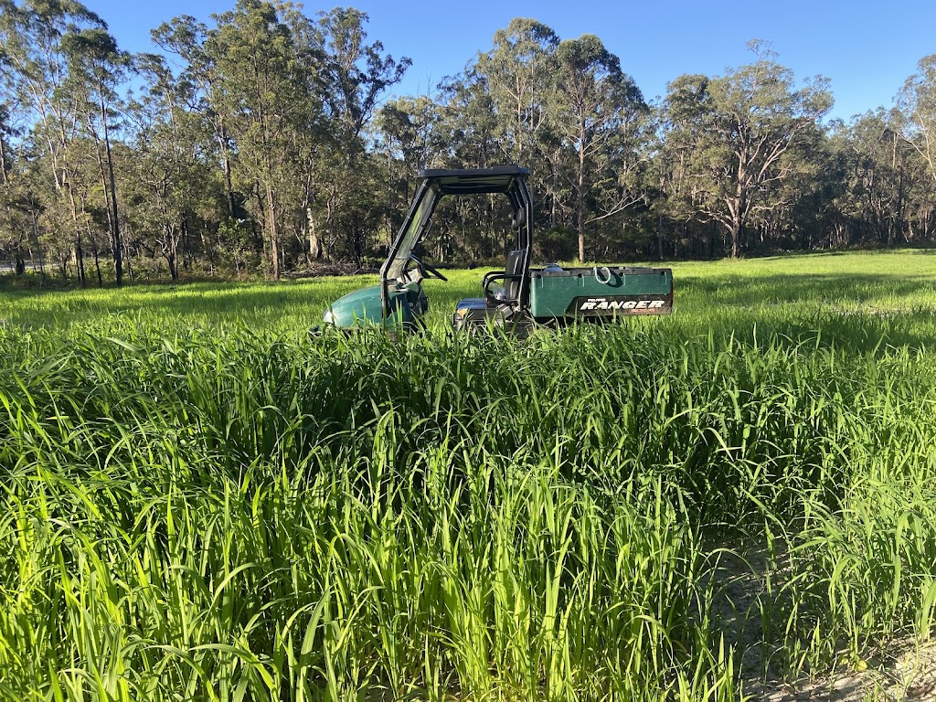 Lanitza Stud & Spelling | 775 Parker Rd, Lanitza NSW 2460, Australia | Phone: 0416 785 083