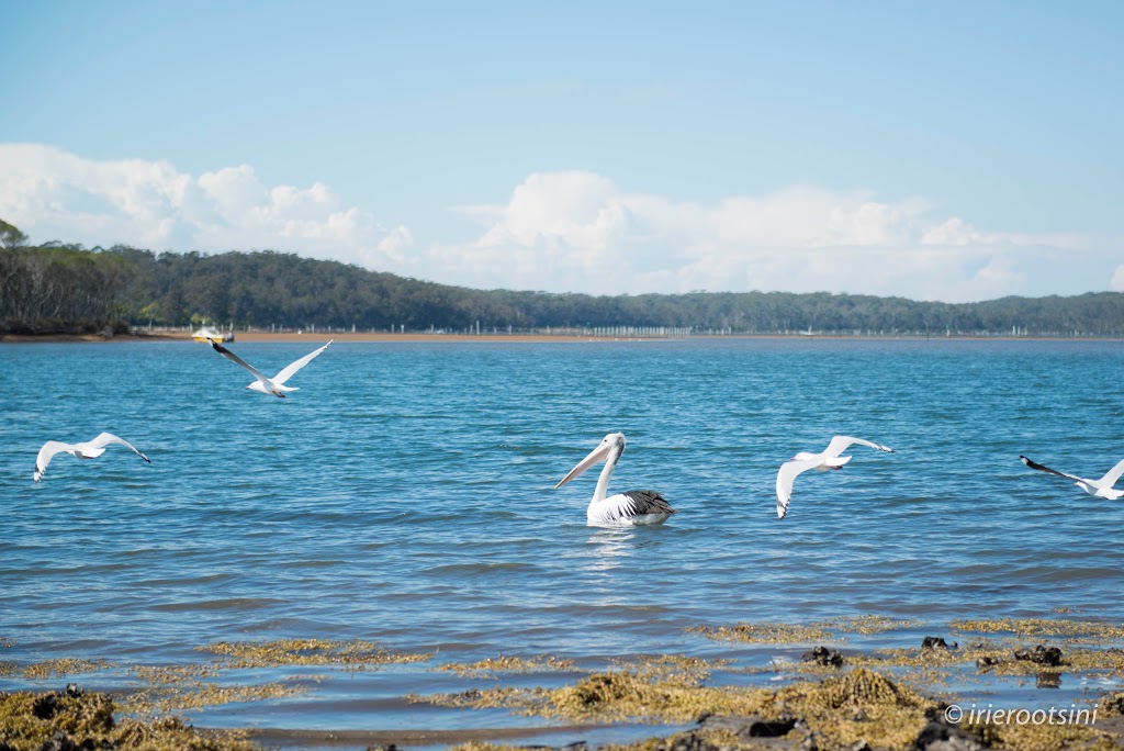 Captain Sponges Magical Oyster Tours | River, Pambula NSW 2549, Australia | Phone: 0429 453 545