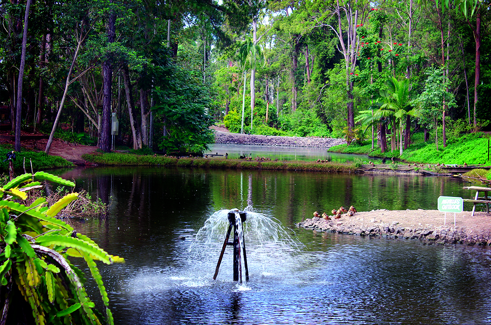 Landsborough Pines Caravan Park | rv park | Steve Irwin Way, Landsborough QLD 4550, Australia | 0754941207 OR +61 7 5494 1207