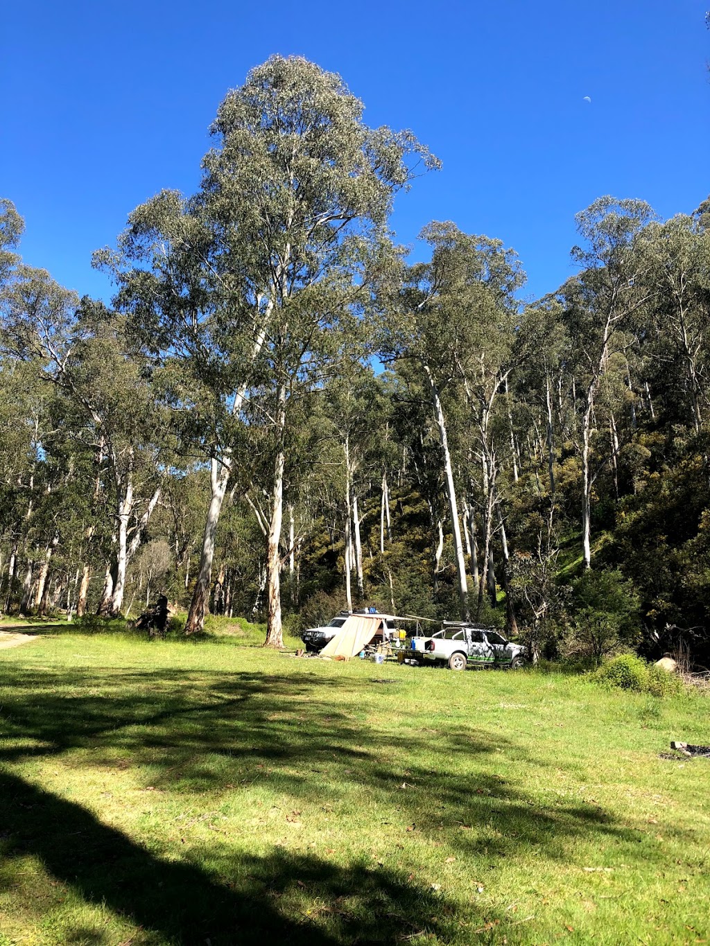 Bindaree Hut camping area | Upper Howqua Rd, Mount Buller VIC 3723, Australia