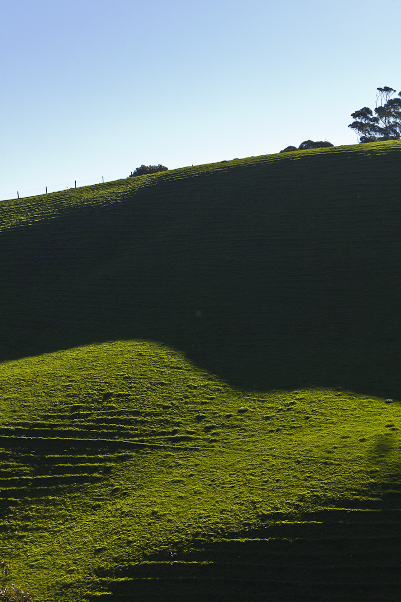 Chi Medicinal Farm B&B | 3225 Great Ocean Rd, Glenaire VIC 3238, Australia | Phone: (03) 5237 9110