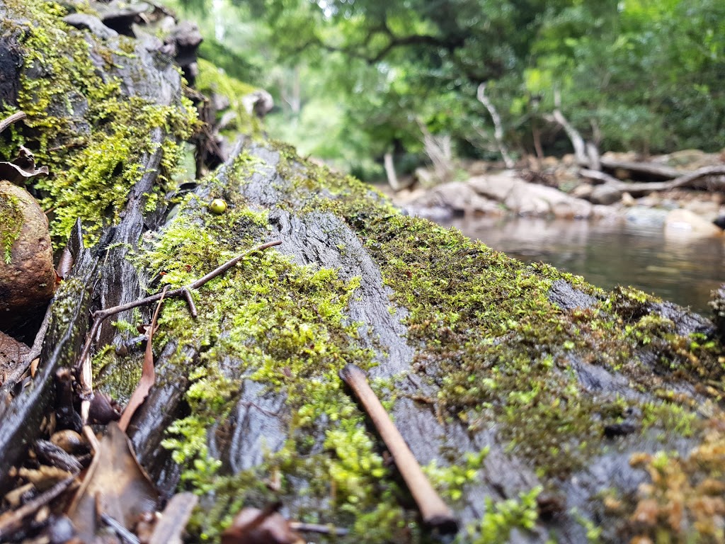 Rocky Hole | Neurum Rd, Mount Mee QLD 4521, Australia